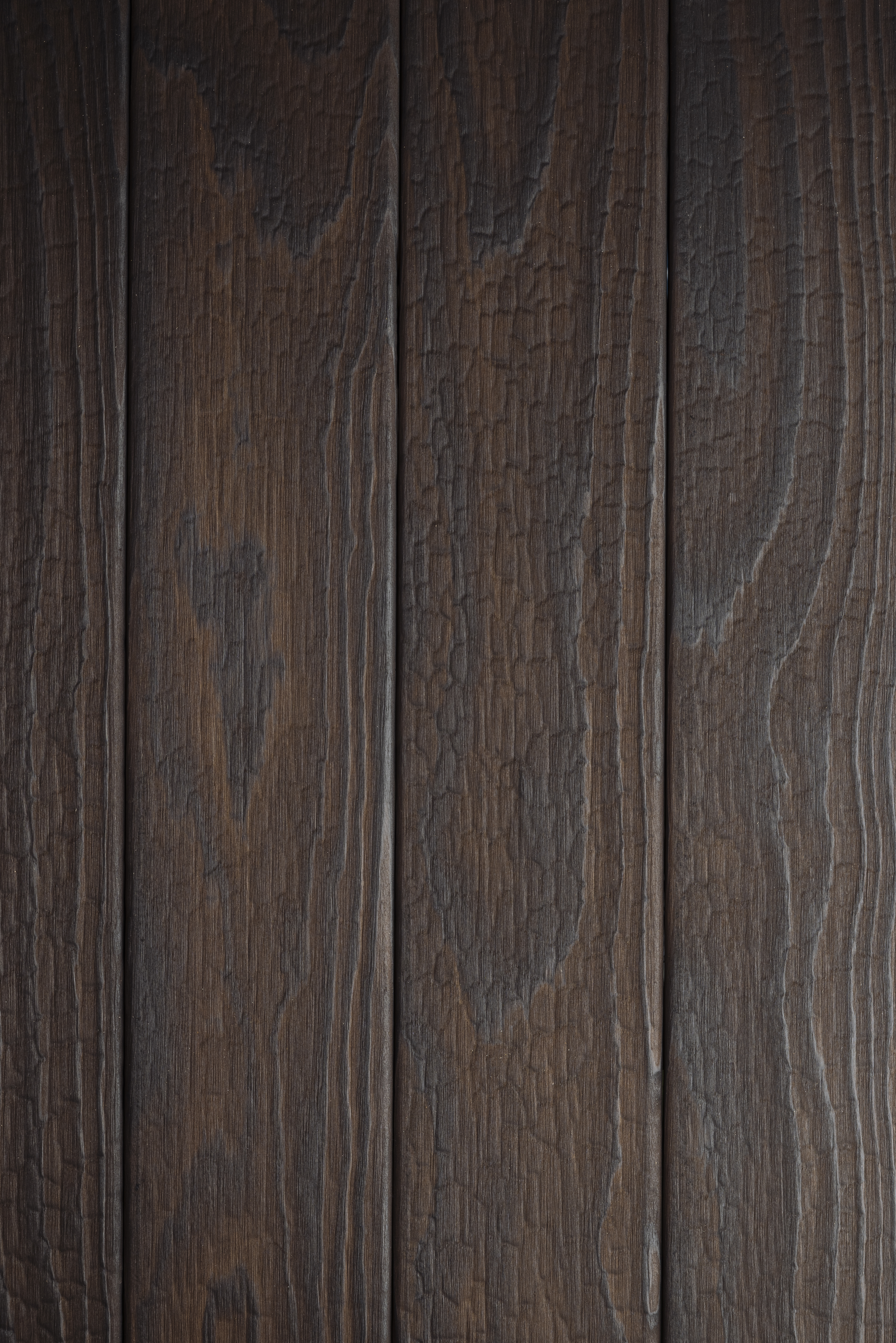 Accoya – Noirdebrun