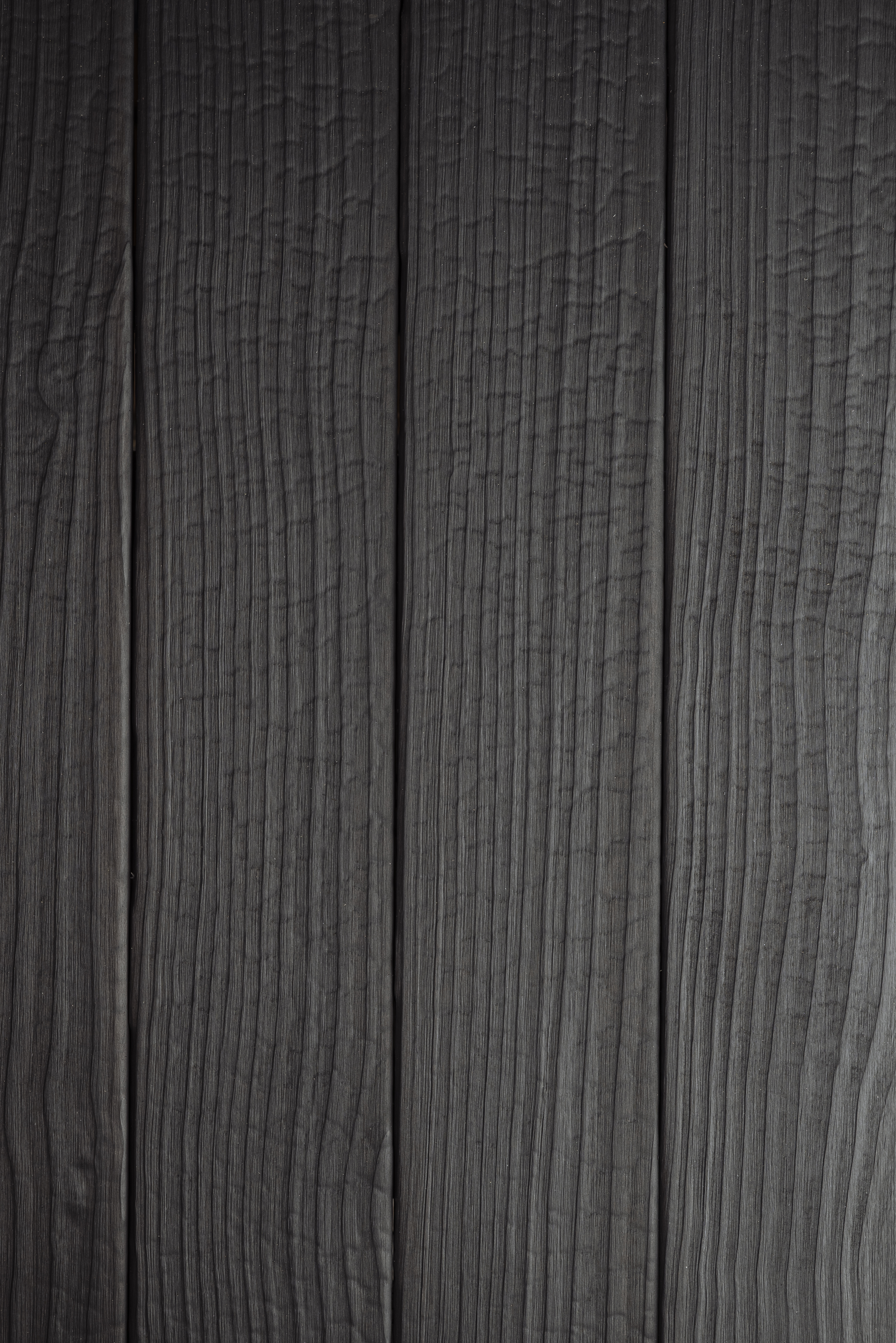 Accoya – Noirdelune
