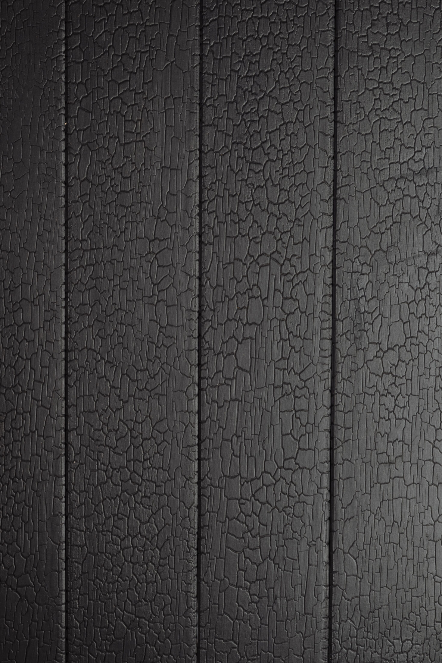 Accoya – Noirdenoir