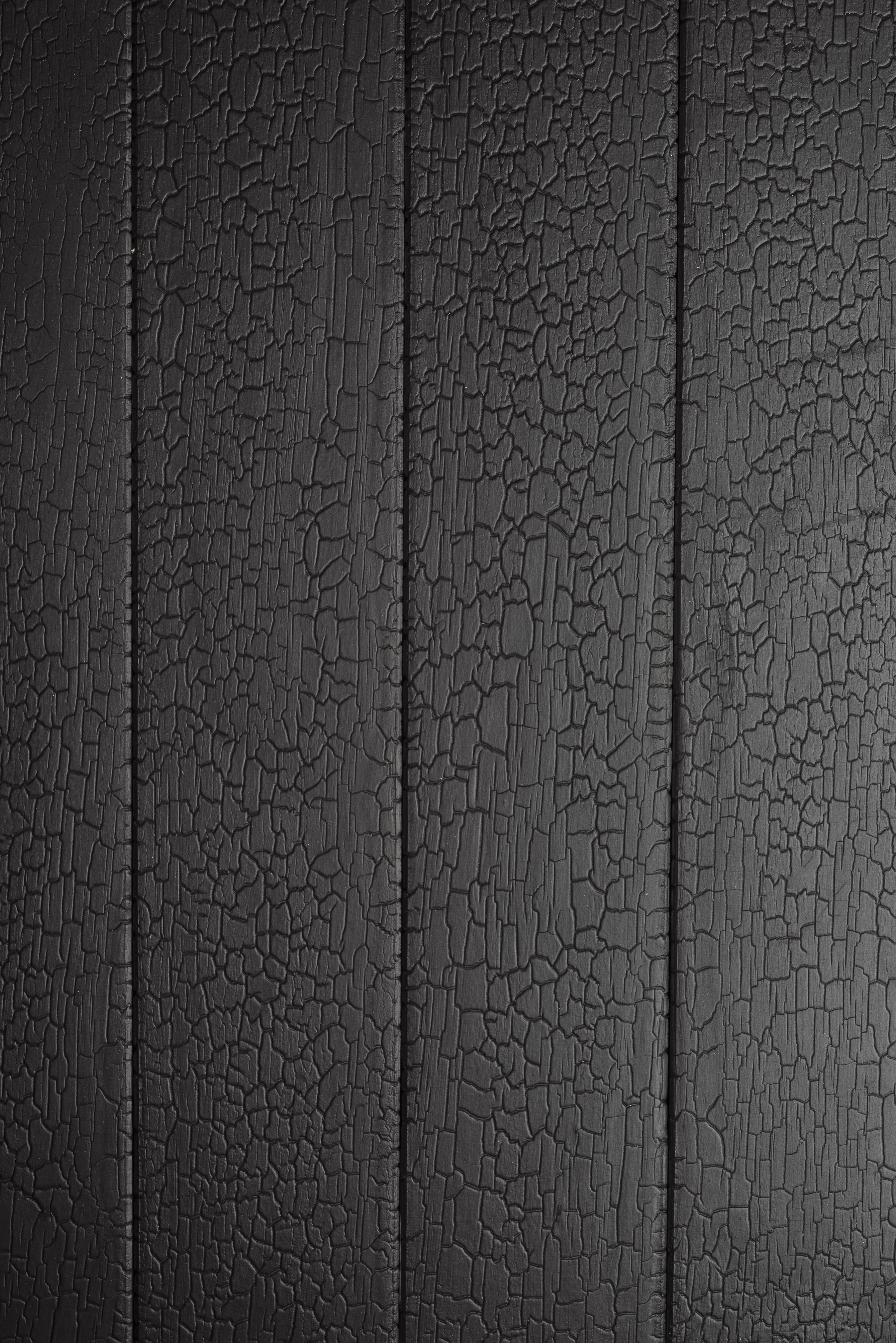 Accoya – Noirdenoir