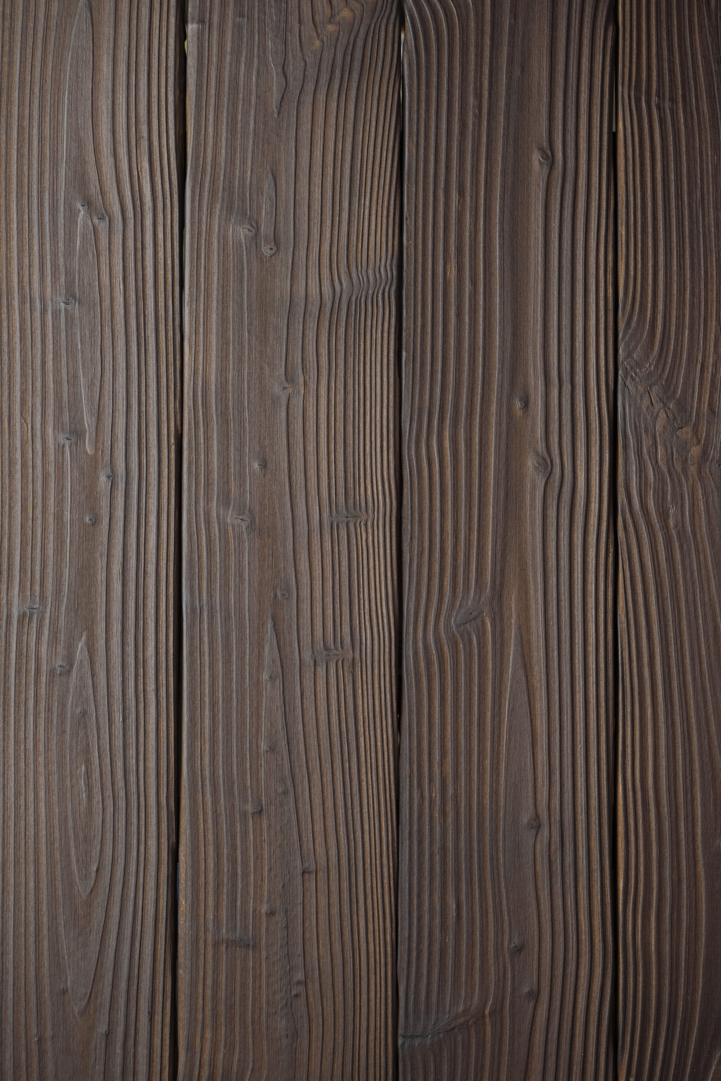 Douglas – Noirdecuir