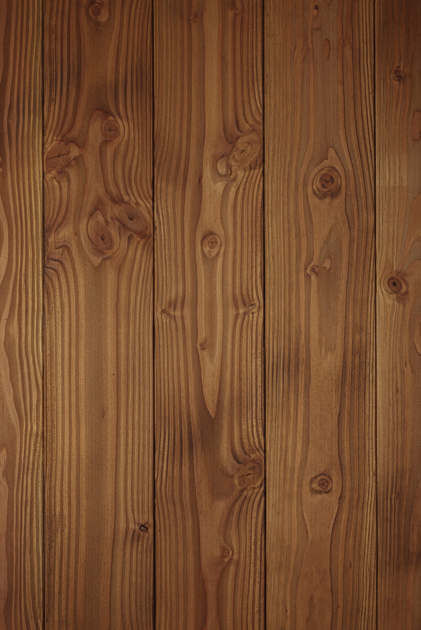 Douglas – Clairdepin