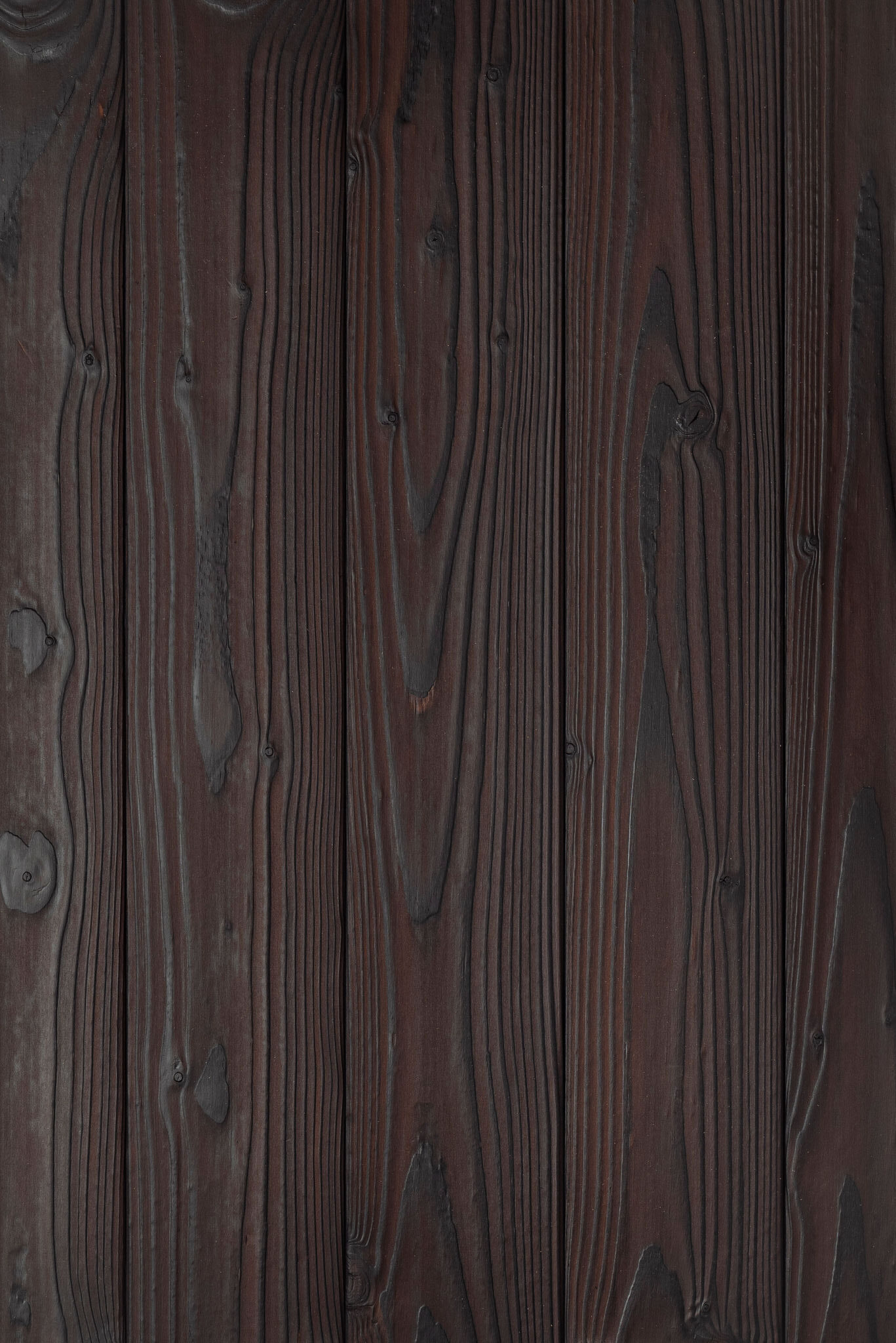 Douglas – Noirdecuir