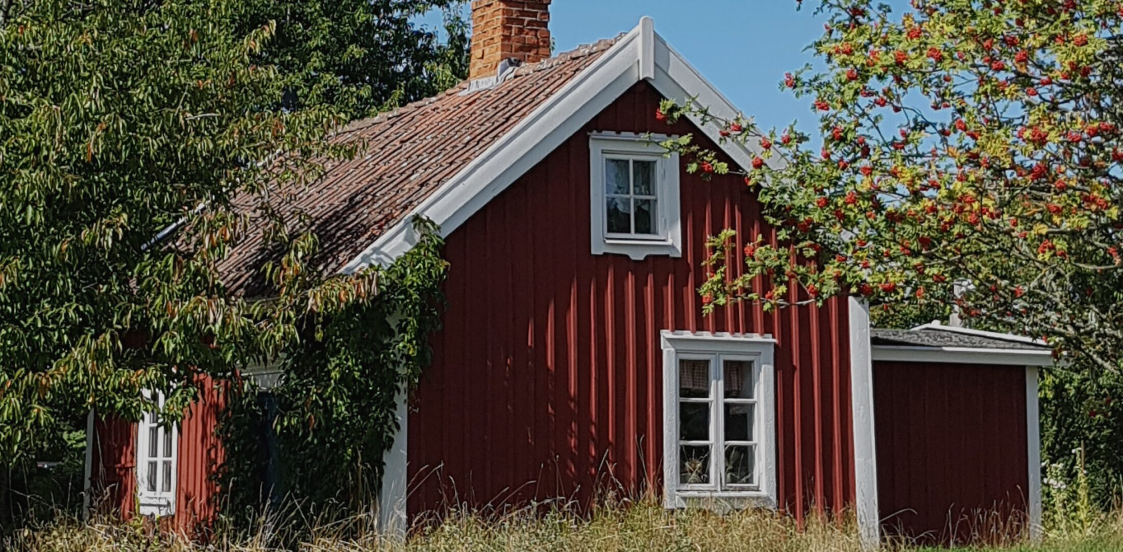 Discover our Swedish Paint range